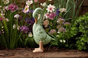 Country garden 13