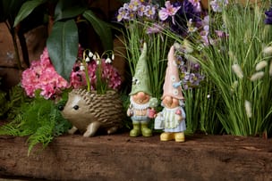 Country garden 9