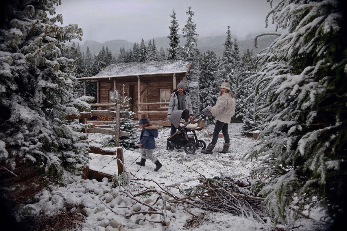 HEADER SNOW 1
