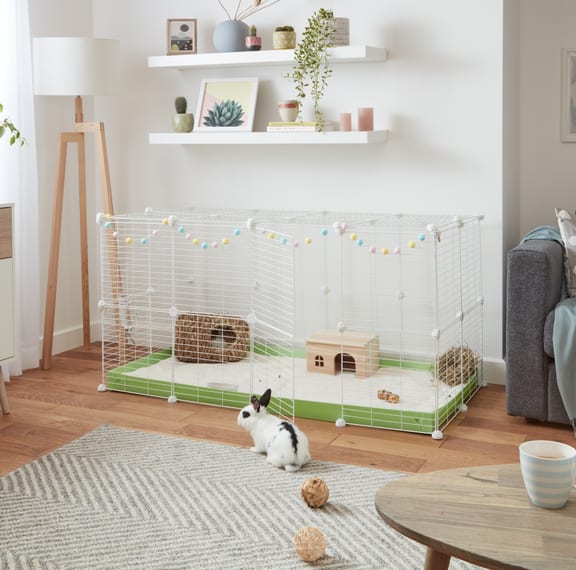 4x2 RABBIT GREEN 1024 2023 03 03 152025 eits