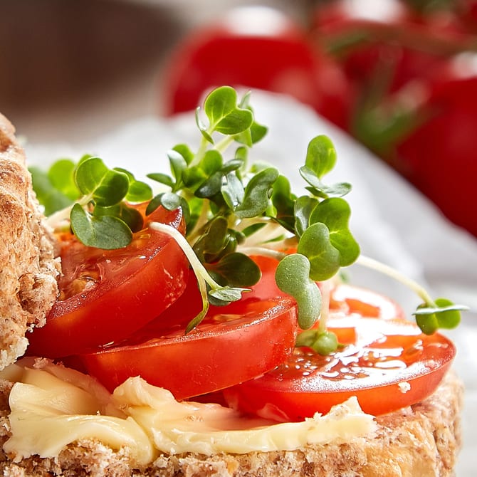 WHOLEMEAL CHEESE SCONE MAIN crop
